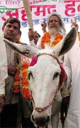 All-India United Muslim Morcha candidate Hafiz Ahmad Hawari arrives on a donkey to file his nomination papers