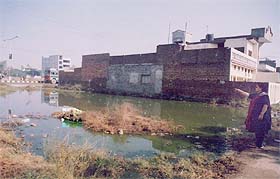 Sewage flows through this park located in Sector 39, Urban Estate, Ludhiana