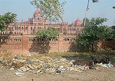 Garbage littered near the boundary wall of Khalsa Collage, the main venue of the heritage festival