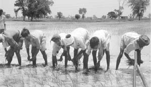 The future undoubtedly seems bleak.