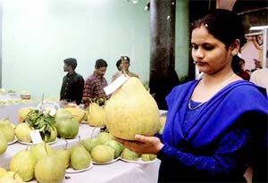 A women looks at a outsized lemon at a fruit exhibition in Bhubaneswar on Thursday