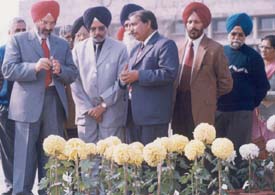 The Vice-Chancellor of Punjab Agricultural University, Dr K.S. Aulakh, Dr G.S. Nanda, Director Research, and Dr M.S. Tiwana, Dean, College of Agriculture