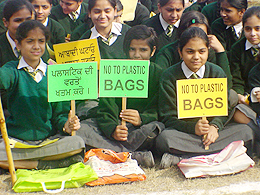 Students participating in an anti-pollution rally are perhaps tutoring what they themselves do not follow. While carrying the placards reading, �No to plastic bags�, they are themselves carrying the bags 