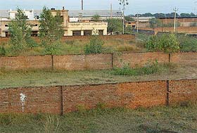 Wild growth abounds in most vacant plots in the Dera Bassi Focal Point, highlighting the poor upkeep of the area