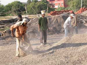 Migrants charge less than local labourers