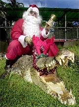 A man dressed as Santa Claus sits atop a live crocodile at a wildlife park in the Northern Territory city of Darwin on Tuesday