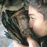 A boy kisses a burned copy of the Koran in an apartment destroyed by a rocket in Baghdad