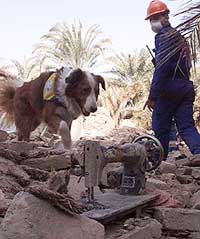 An Austrian rescue worker and his dog look for survivors under the rubble in Iran's ancient Silk Road city of Bam