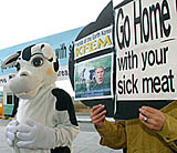 A South Korean protester in a cow outfit and his colleague hold a banner during the arrival of a US delegation