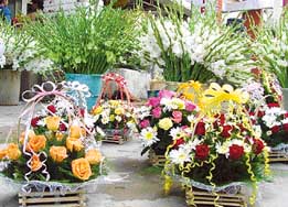 City residents preferred flowers to convey their New Year greetings.