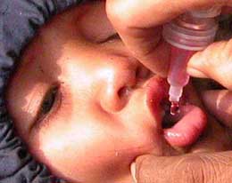 A child being administered polio drops in New Delhi 