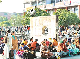 After the sun pushed aside the curtain of fog enveloping the city for the past few days, employees came out to bask in its glory in Sector 17, Chandigarh, on Tuesday.