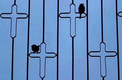 Sparrows sit on crosses at St. Matthew's monastery in Mosul, northern Iraq, on Wednesday