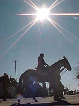 A tourist rides a horse on a sunny Thursday morning at the Ridge in Shimla