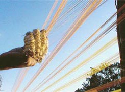 A worker gives final touches to strings used for kite-flying, in Ludhiana on Thursday. The product is witnessing a brisk sale these days. 