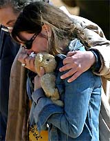 A family member cries as she clutches a teddy bear, during a memorial for the 133 French tourists killed when a plane crashed into the Red Sea in the Egyptian resort of Sharm el-Sheikh