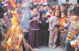 Students of Terioat Public School celebrate Lohri