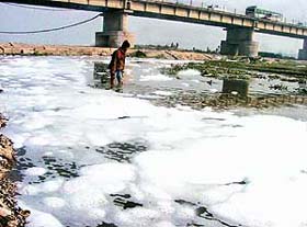 This is not snow but froth accumulated along the Ghaggar river banks at Bhankharpur village, near Zirakpur