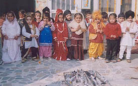 Tiny tots of Swiss International Public School celebrate Lohri at Ludhiana