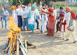 Students of Blue Bird Model School, Sector 16, celebrate Lohri in Chandigarh on Tuesday. 