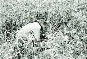 No more outdated farming practices