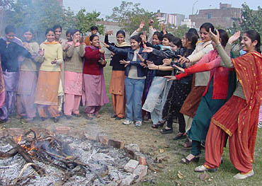 Students of D.D. Jain College of Education, celebrate Lohri on their college premises on Tuesday. 