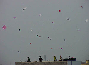 A kite sprinkled sky captured by Tribune lensman Pradeep Tewari on the occasion of Lohri in Ludhiana on Tuesday.