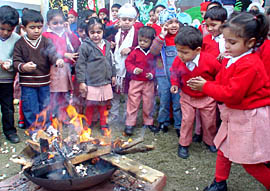 Tiny tots of Love Dale School perform rituals of Lohri in their school in Ludhiana on Tuesday.