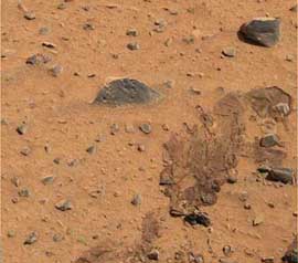 This colour image, released by the Mars Exploration Rover Spirit on Monday, has been further processed to produce a sharper look at a trail left by the one of rover's airbags