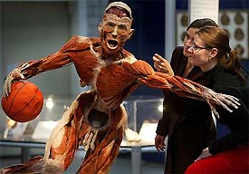 Two women look at a plastinated human specimen depicting a basketball player at Gunther von Hagen's exhibition in Frankfurt 