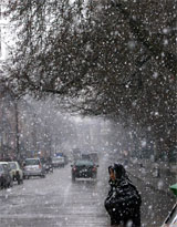 A Kashmiri woman crosses a road amid fresh snowfall in Srinagar