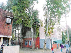 Photo by Parvesh Chauhan