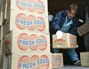 An employee of a disposal facility carries eggs to be destroyed in Yamaguchi