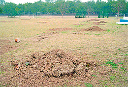 Mounds of earth dot the sports ground at Panjab University in Chandigarh.