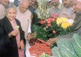 Chief Minister Sheila Dikshit during the stone-laying ceremony of Jayanti Haat at Andheria Mod, Mehrauli
