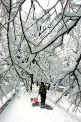 A woman cleans benches buried under snow in Sarajevo 