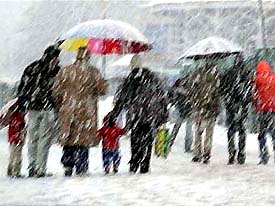 Scenes from Shimla following fresh snow-fall 
