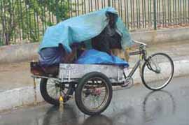 A mackintosh for a roof