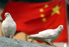 Pigeons stand in front of the Chinese national flag in Beijing on Friday