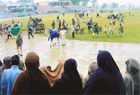 Photo by Pardeep Tewari