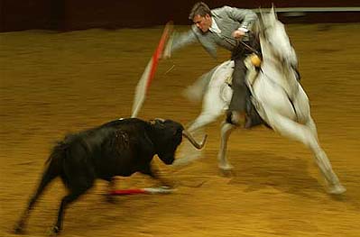 A mounted bullfighter drives a rejon at a young bull in a bullring during a show at the World Bull Fair in Seville