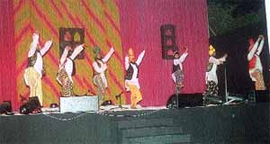 A bhangra troupe performing at the Elecrama 2004 organised by C&S Gewiss.