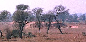 A ditch-cum-bundh being raised along the international border