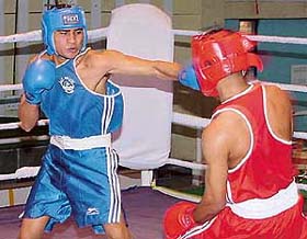 Pugilists in action at the 11th All-India A.K. Misra Boxing Tournament at Skating Rink, Sector 10, Chandigarh