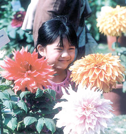  A child at the 57th Annual Delhi Flower Show organised by 