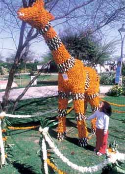 A child admires an exhibit at the garden tourism festival