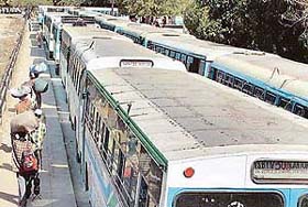 Buses line up at Bus Stand, Sector 17, Chandigarh, on Tuesday as Chandigarh Transport Undertaking employees join the strike