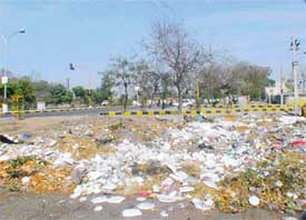 Garbage lies piled up in different areas of Ludhiana as MC staff failed to clear it for the third consecutive day