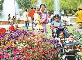 Spring at its zenith: The first-ever flower show at Mohali was inaugurated at the Silvi Park, Phase X, on Saturday. 