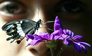 A girl looks at a butterfly hovering on a flower